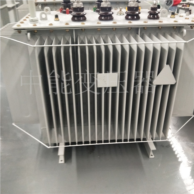 商洛S20-800KVA变压器